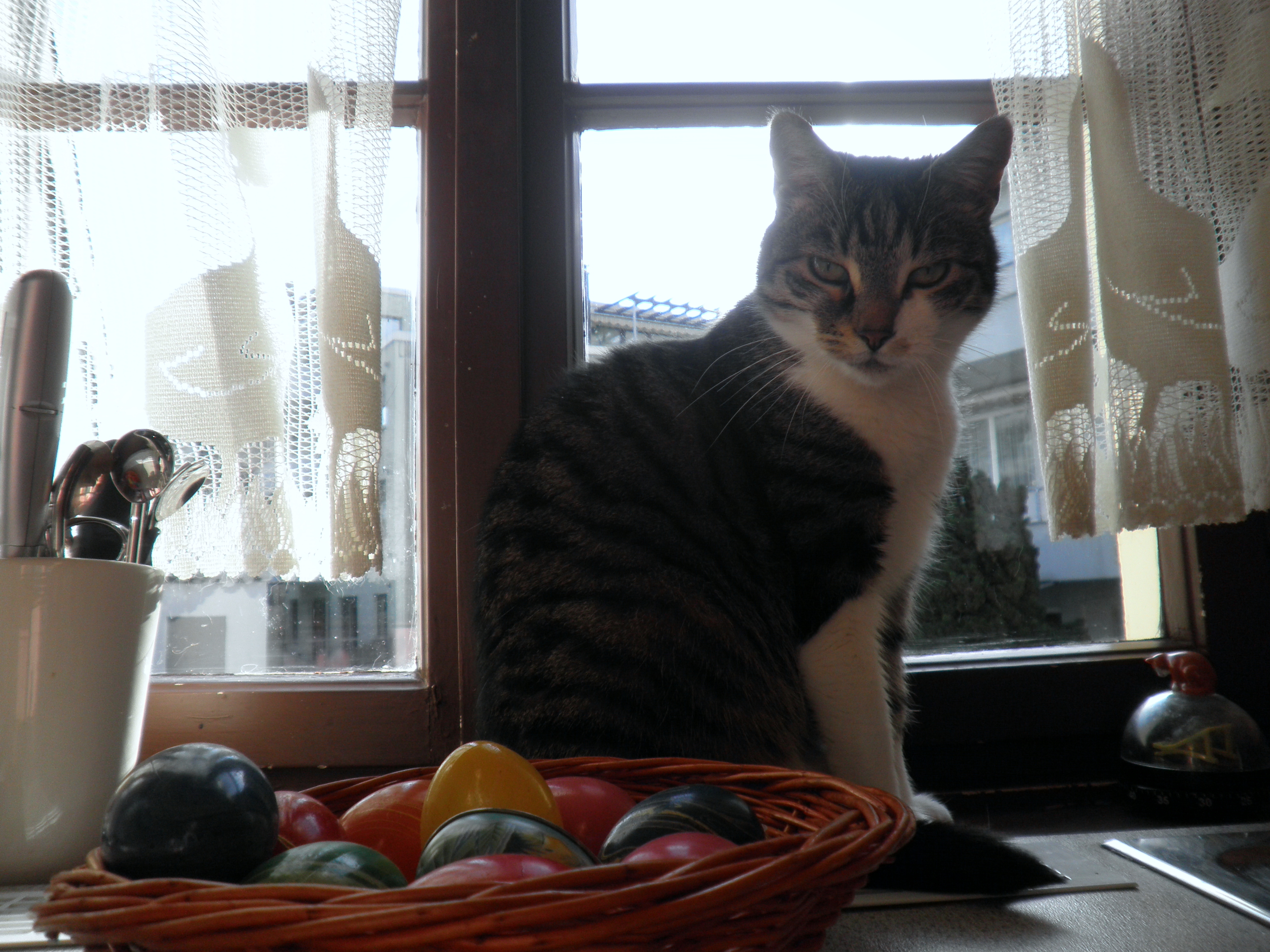 ostern2010gluecksb.jpg